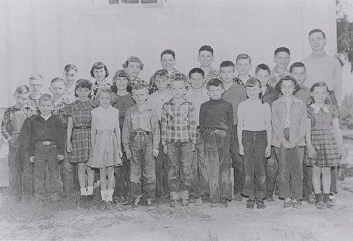 Newton Woods School
